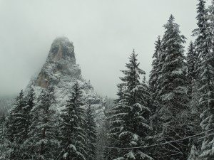 DSC02091